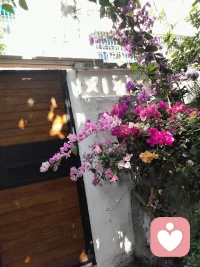 安心做自己配圖