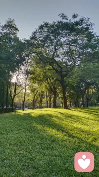 陽光、色彩，是生活的一劑良藥。配圖