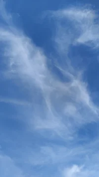 轉換視角，一切都有觀察的角度，你看到的只是其中某個部分，而非全部！配圖