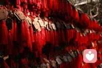 遇事不決，量子力學；解釋不通，穿行時空；腦洞不夠，平行宇宙；風格跳躍，虛擬世界；不懂配色，賽博朋克；畫面老土，追求復古；不清不楚，阿就那個致敬克蘇魯！配圖