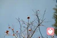 可以通过以下6个方法进行改变自己的心态：
1、不要总叹气。
还记得我说的小慧吗？她在和我咨询的时候，从第一次我就注意到，开始就先叹气，叹气3-4次之后才开始陈述问题。小慧不仅仅和我聊天总是叹气，和身边的所有人聊天也是这样。
如果一个人总是叹气，就会给人颓废的感觉，整个人如同枯萎的植物，拿不出干劲儿，那么好运气自然就会远离你。
2、制造情绪缓冲区，让情绪放慢下来，逐渐化解。
想想看那些负面情绪控制不好的人，总是爱发脾气的人，他们的运气能好到哪里去？比如：路怒症、躁狂症、焦虑和担心、恐惧和恐慌，好运气还没来得及靠近你，就被你面前情绪的墙挡住了对吧？
不要急躁，不要悲观，心态放平和下来，这样才能发现事情的解决方法。

3、气场拿出来。
有些人说话有气无力，软绵绵的，想和别人吵架都吵不赢，更别说谈判中的博弈了，一上场绝对气场就输掉了，带来的就是各种不顺。
所以，保持自信的气场，成功的前提是你要相信自己可以成功。
4、保持正气，保持善良。
善良的人，释放善意帮助他人时自己也会得到好心情的反馈。
善良的人内心也是暖的，你的心中温暖和谐，就会让你有精神，两眼闪闪发光，整个人都会显得不一样。

5、多阅读，多提升自己。
多读书，知识可以从内而外地改变你的气质。
知道得多了，面对陌生的事物也会更有底气，更乐意去挑战，从而获得更多的机会。
6、与他人，也与自己和解。
接纳自己与他人的不足，不怨天尤人，也不推卸责任。告诉自己过去的事就过去了，向前看，才能走出阴霾，迈向明天。