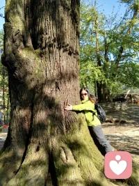 千年古樹靜靜佇立，歲月在它的年輪里沉淀。
每一道裂痕都是對(duì)過往磨難的印記，卻也讓它更懂生命的真諦。