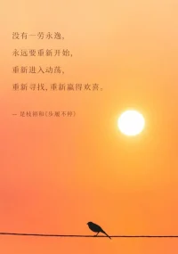重復(fù)配圖