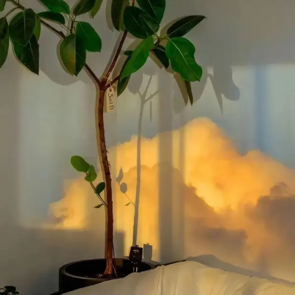 悅然