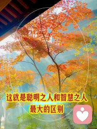 聰明人和智慧人的區別配圖