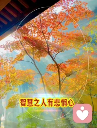 聰明人和智慧人的區別配圖