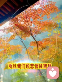 聰明人和智慧人的區別配圖