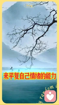 当我们学会转念的时候，
我们就拥有了平复情绪的能力。配图