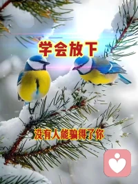 ♥学会放下 才得自在♥

看破世间万物，
放下无用包袱，
自在度过一生。配图