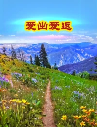 愛出愛返，
福往福來，
萬事萬物皆有因果。配圖