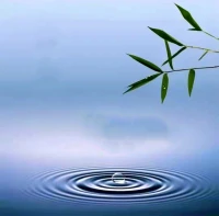 ?心靜福自來?

心有靜氣，
福氣自來！
心靜則神悅，
神悅則福生；
有福之人有三靜！
第一靜，遇事冷靜；
第二靜，為人清凈；
第三靜，處世心靜；
心有多靜，
福就有多深！配圖