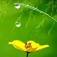 ?心靜福自來?

心有靜氣，
福氣自來！
心靜則神悅，
神悅則福生；
有福之人有三靜！
第一靜，遇事冷靜；
第二靜，為人清凈；
第三靜，處世心靜；
心有多靜，
福就有多深！配圖