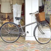 《生活是你的選擇》

生活本來(lái)就是幸福和苦惱兩面的，
始終相伴在一起的。
但是，
當(dāng)你選擇幸福這一面的時(shí)候，
苦惱就隱退了：
當(dāng)你選擇苦惱這一面的時(shí)候，
幸福也就躲藏起來(lái)了。

生活是選擇的樣子！配圖