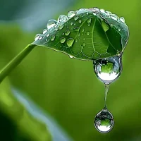 ♥天遂人愿♥

不是要知道所有事情，
这个世界才变得美好；
是你想让这个世界变得美好，
世界才变得美好。配图