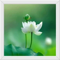 .
  《身?心》

自身有病自心知，
心病還需心藥醫，
此心靜時此身靜，
心生正時病生時。配圖