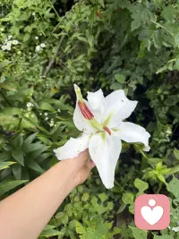 我发现心情不好，可以在色香味上找回快乐，色是景色，也可以是自己打扮自己的颜色，香可以是香水，或者可以是树木花草散发的天然香气，味是味道，一道好吃的不得了的美食，或者任何自己喜欢的味道