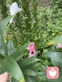 我发现心情不好，可以在色香味上找回快乐，色是景色，也可以是自己打扮自己的颜色，香可以是香水，或者可以是树木花草散发的天然香气，味是味道，一道好吃的不得了的美食，或者任何自己喜欢的味道