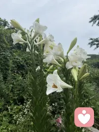 我发现心情不好，可以在色香味上找回快乐，色是景色，也可以是自己打扮自己的颜色，香可以是香水，或者可以是树木花草散发的天然香气，味是味道，一道好吃的不得了的美食，或者任何自己喜欢的味道