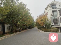 潜意识冰山理论：未被疗愈的童年创伤不会消失，它被深埋于潜意识里。成年后经由外在事件的刺激（分手、失恋、虐待，离婚，人际关系破裂），这些没有得到原生家庭爱的滋养而经受的童年创伤随时可能发作。如果你抗不过去，迎接你的可能就是抑郁症。
由于童年创伤带来限制性信念如何影响你的人生。由于童年的经历会造成你金钱是会让人变坏的、性是羞耻的、我是不好的等限制性信念，这些信念就会让你不愿意谈钱，不愿意享受性，不断的否定自己，不能得到轻松愉快的幸福人生。
亲密关系可以疗愈童年的创伤，你在伴侣的身上看到你想要的包容呵护允许，改变自己，变成自己期待的样子。
我们的灵魂也许在下来的那一刻，就选择了要通过那么多磨难一次次去重生，去蜕变。我们需要跨出勇敢的一步，走出舒适圈，勇于去改变自己，从潜意识层面去疗愈、去真正的解套人生。
爱是人类永恒的话题。爱自己，将自己作为例子或榜样，不仅自己发光发热，还能照亮别人，这也是磨难与成长的意义！配图