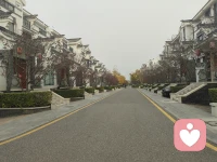 潜意识冰山理论：未被疗愈的童年创伤不会消失，它被深埋于潜意识里。成年后经由外在事件的刺激（分手、失恋、虐待，离婚，人际关系破裂），这些没有得到原生家庭爱的滋养而经受的童年创伤随时可能发作。如果你抗不过去，迎接你的可能就是抑郁症。
由于童年创伤带来限制性信念如何影响你的人生。由于童年的经历会造成你金钱是会让人变坏的、性是羞耻的、我是不好的等限制性信念，这些信念就会让你不愿意谈钱，不愿意享受性，不断的否定自己，不能得到轻松愉快的幸福人生。
亲密关系可以疗愈童年的创伤，你在伴侣的身上看到你想要的包容呵护允许，改变自己，变成自己期待的样子。
我们的灵魂也许在下来的那一刻，就选择了要通过那么多磨难一次次去重生，去蜕变。我们需要跨出勇敢的一步，走出舒适圈，勇于去改变自己，从潜意识层面去疗愈、去真正的解套人生。
爱是人类永恒的话题。爱自己，将自己作为例子或榜样，不仅自己发光发热，还能照亮别人，这也是磨难与成长的意义！配图