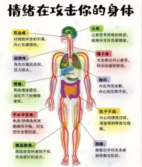 你忽略的情緒，身體全都記得。很多人以為，情緒只是“心理上的事”， 但其實，情緒不被處理，身體就會“發聲”。

情緒對身體的影響，經常會被我們忽視。

那些長時間壓抑的悲傷、憤怒、焦慮……
這些情緒沒有消失，只是悄悄藏在你的胃痛、胸悶、頭暈、失眠里……
 
你是否經歷過某個部位莫名的刺痛或不適？
那可能不是感冒或勞累，而是你的身體在提醒你：
“你還有沒被看見的情緒。”
如果你有身體上的不適或者情緒上的迷惑，歡迎你和我連線，我愿意陪伴你一起去探索

? 學會覺察自己的感受，不要讓感受一直壓抑在心里～～配圖