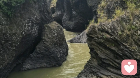 越适应混乱 越能生存