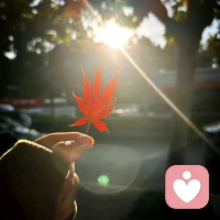 或许是在一个寒冷的冬日，陌生人的一个微笑，如同暖阳，驱散了严寒，那不经意的善意，让我们感受到人性的美好，原来这个世界并不冷漠。配图