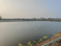 我的家鄉(xiāng)。配圖
