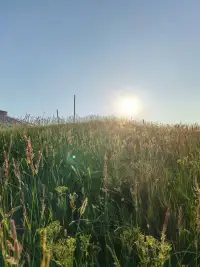 生活中很多人的焦虑，都来自于对未知世界的恐惧，自我治愈焦虑的第一步，就是活在当下。