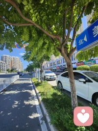 ?“早上好呀！?? 九點的陽光剛好，咖啡的香氣正濃，今天也要像剛曬過的被子一樣，蓬松又溫暖地過下去～”配圖