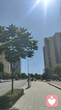 瑞士心理學家榮格有一個術語“陰影”
不能在陽光下呈現的心理，最后就會躲入陰影中，但它不會消失，而是會以我們不能控制的破壞性的方式出現。配圖