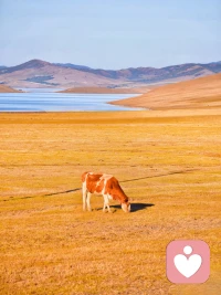 感受著你的感受，無論什么時候，自身的感受最重要，一切跟著自己的心出發，這樣你就減少很多的內耗!配圖