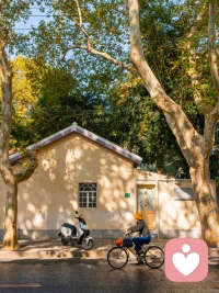 爱里的迷茫从不可怕，怕的是一个人扛着所有情绪。我会用情感推理帮你看清关系的脉络，更会用耐心陪你找到前行的方向。