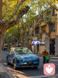 不是所有的感情難題都有標準答案，但你的感受永遠值得被看見。我用專業的分析幫你梳理，也用溫柔的陪伴給你底氣。配圖