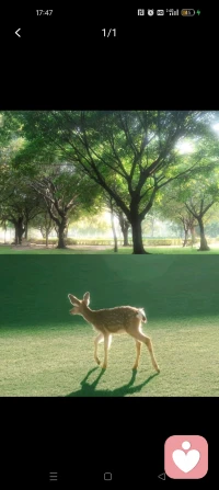 婚姻里的沉默有時比爭吵更磨人，如果你覺得心里堵得慌，我在這里，做那個愿意聽你把心里話講完的人。配圖