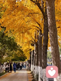 婚戀里的喜怒哀樂，都是最真實的心聲。我在這里，不只是分析情感的邏輯，更會接住你所有的情緒起伏。