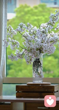 那些藏在心底的情绪，就像这些花枝，慢慢梳理，总能找到舒展的方向。配图