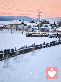 不必强迫自己立刻好起来，允许情绪像花一样，有含苞，也有盛放。配图