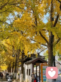 那些深夜里的辗转反侧，那些无人理解的疲惫，都可以告诉我，我懂你的不容易。配图