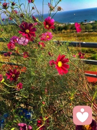 有些心事像深埋的种子，不用急着挖出它，我们可以一起等它慢慢发芽或安然沉睡。配图