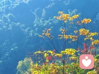 不用害怕自己的情绪会“失控”，在这里，所有的情绪流动都被允许，都被接纳。