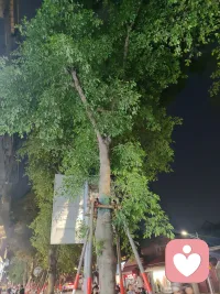 你不用刻意讨好谁，更不用讨好自己的情绪，真实地流露，就是最好的模样。