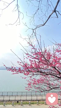 不用强迫自己“必须快乐”，允许自己不快乐，才是真正的自由。配图