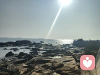 你不用向任何人证明什么，你存在的本身，就足够珍贵。配图