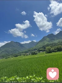 无论你正经历焦、难过还是迷茫，都请记得，你从来都不是孤军奋战，我始终在这里等你。