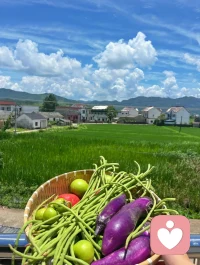 学会给自己的心灵放个假，卸下不必要的包袱，轻装上阵，才能走得更稳、更远。