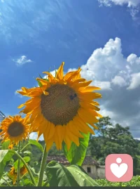 不要因为一时的困顿否定自己，你远比自己想象中更坚韧，更有力量走出困境。