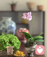  每一次自我克制、每一次坚持自律，都是在悄悄重塑更好的自己。