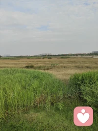 头脑编织的灾难设想，大多不会真实发生，区分想象与现实，能有效缓解源源不断的恐慌焦虑。