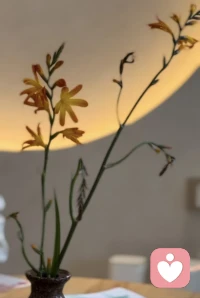 [咖啡]与自己和解

事情已经发生
错误已经犯下
你还要一辈子
为这件事情付出代价吗？
不，它已经结束了
把这件事清理出去
想象着故事里的人
就在你面前
说你想说的吧
……
人生总要继续
我们不能永远卡在那里
[拥抱][拥抱]配图